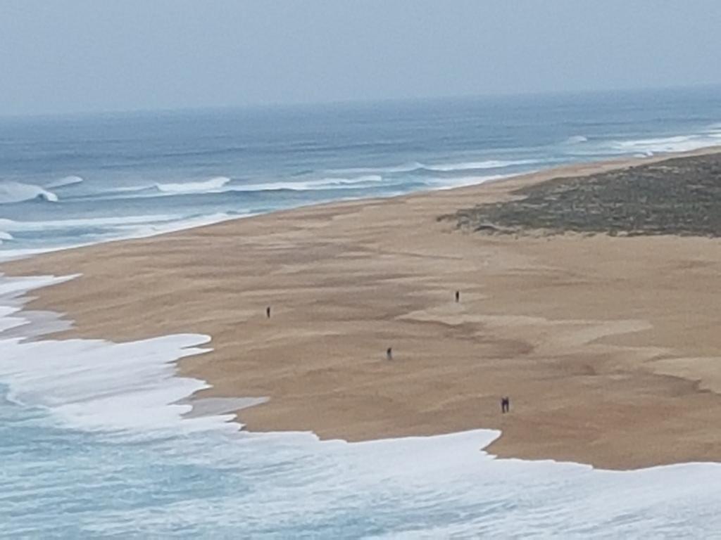 O Paraiso No Terraco Foz do Arelho Εξωτερικό φωτογραφία